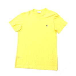 T-SHIRT GIROCOLLO M/M LACOSTE