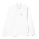 CAMICIA M/L LACOSTE