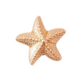 Jibbitz Gold Star Fish Crocs Crocs Altro 3493-UNI